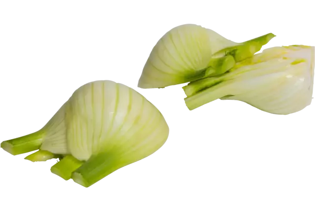 Venkel gehalveerd bak 1kg